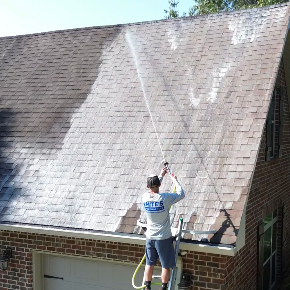 Roof Cleaning Service Image