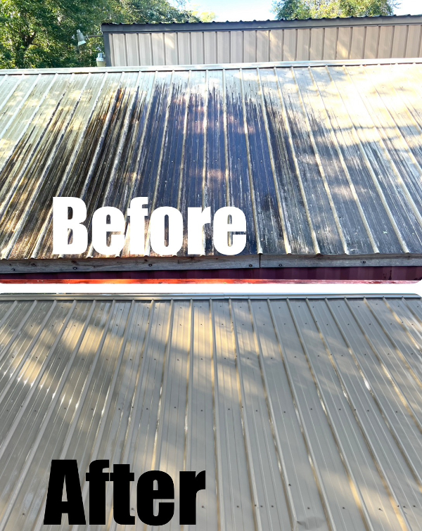 Metal Roof Cleaning in Pensacola Florida