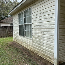 Pro-Level-Soft-Wash-Vinyl-Siding-in-Cantonment-Florida 5