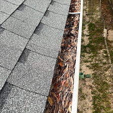 Safe-and-Professional-Gutter-Clean-out-in-Pensacola-Florida 3