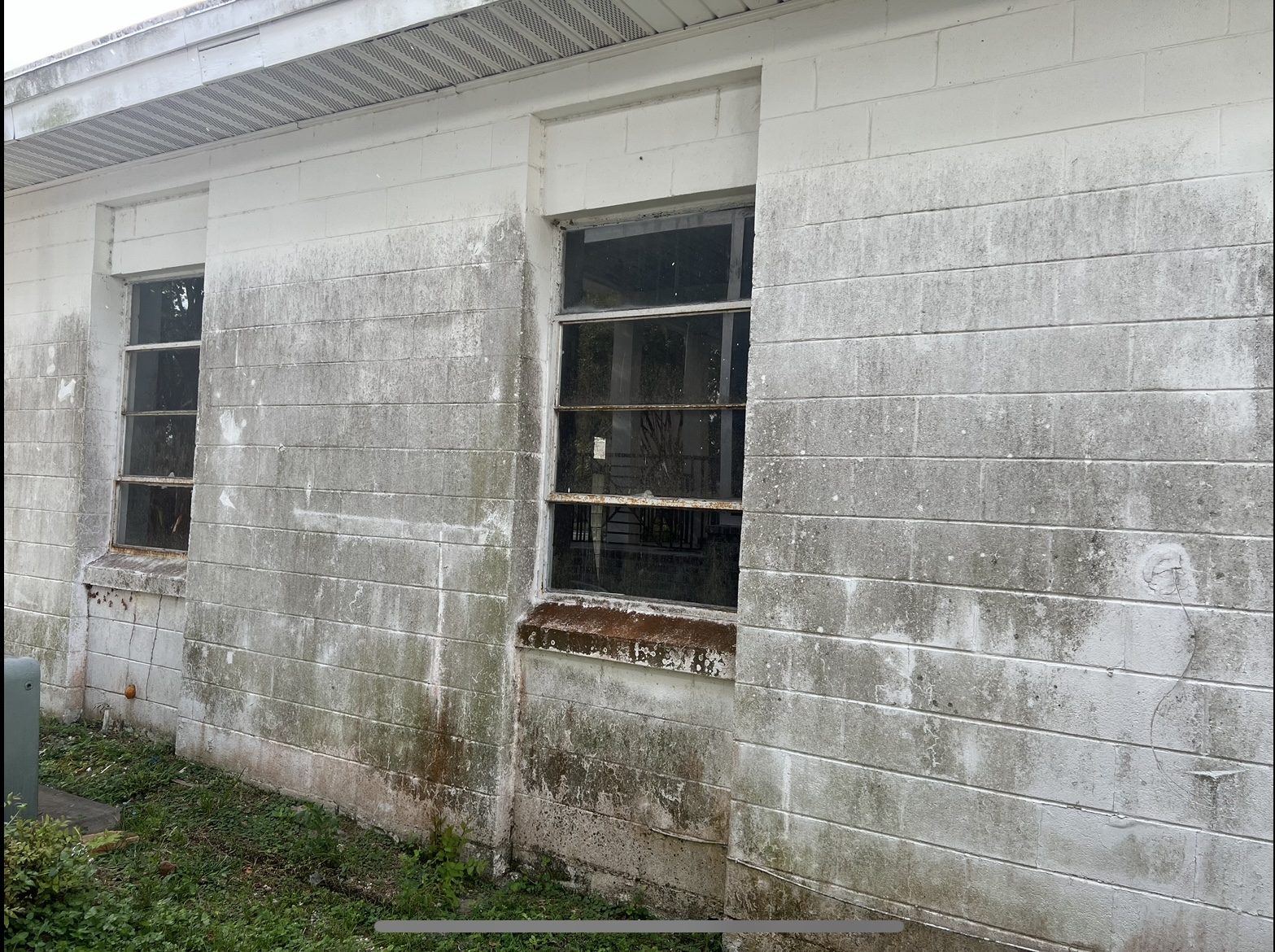 Top Quality Commercial Building Mold Removal In Pensacola Florida