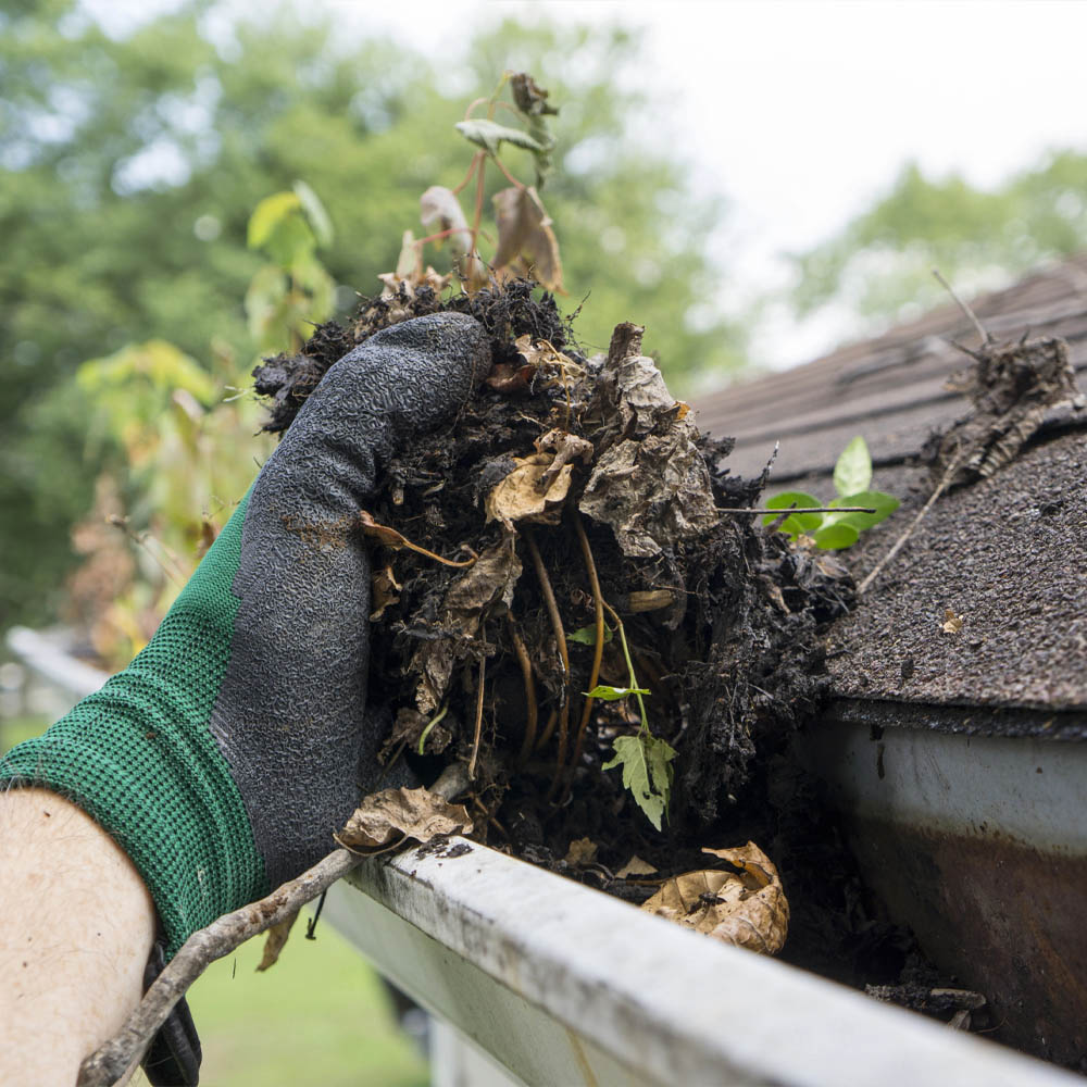 Gutter Cleaning Service Image