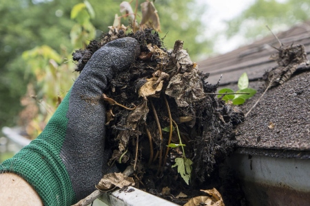 Gutter Cleanouts