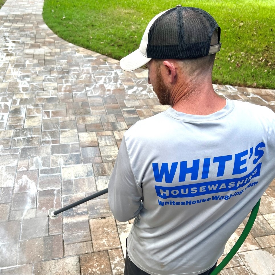 Paver Cleaning Service Image